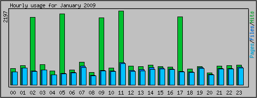 Hourly usage