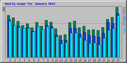Hourly usage for January 2013